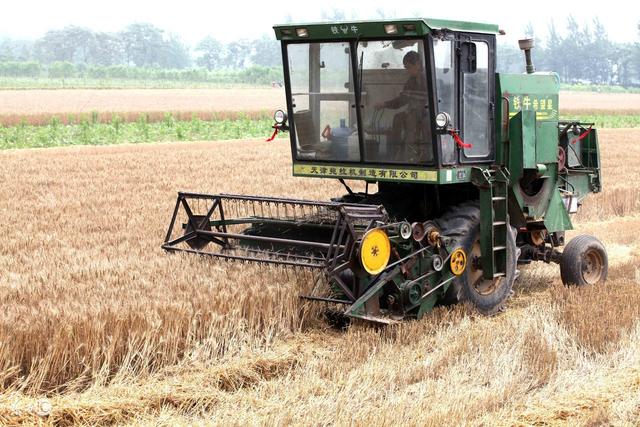 种植一亩地小麦，从种到收全程管理，成本需要多钱？
