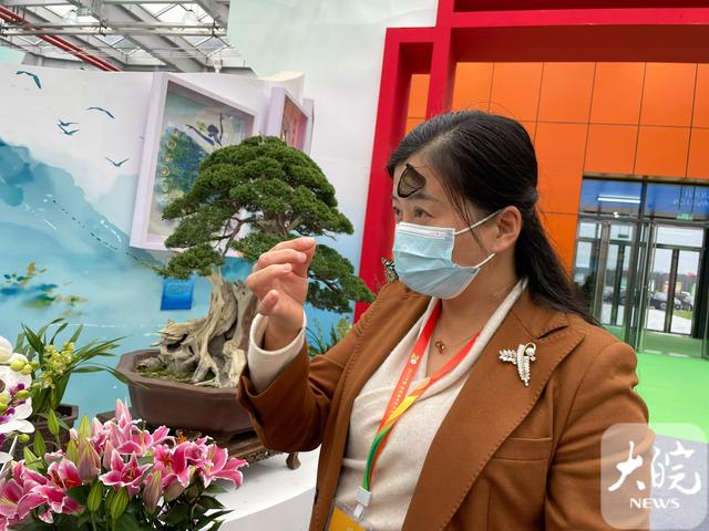 2022中国合肥苗木花卉交易大会11月19日开幕