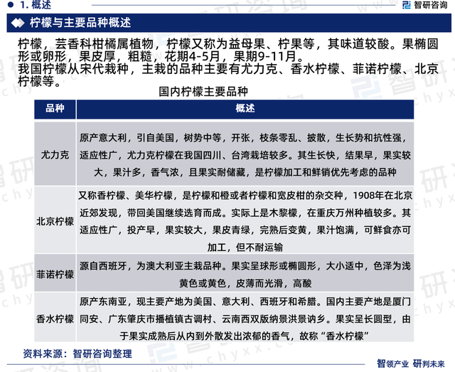 2023年中国柠檬行业市场投资前景分析报告—智研咨询