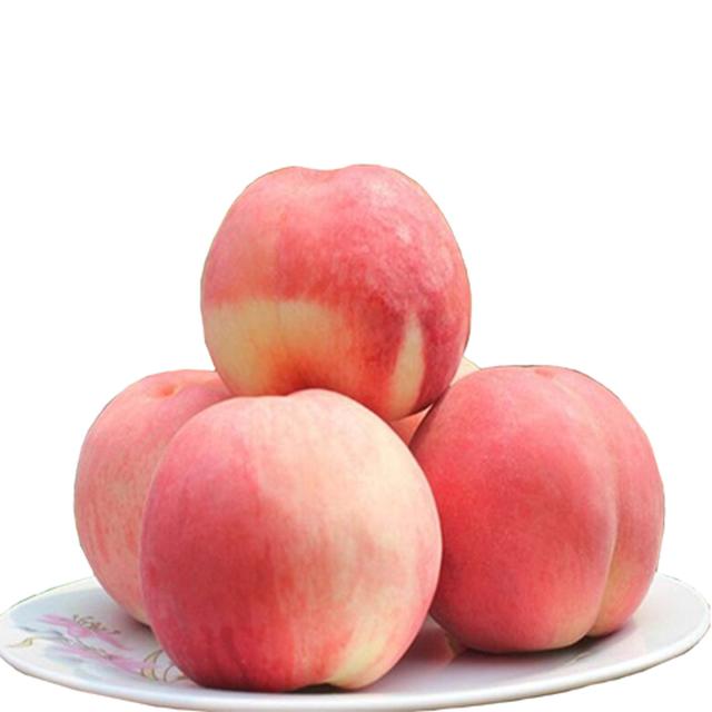 水蜜桃种植：想要种出肉厚汁多的水蜜桃，需要满足7个条件