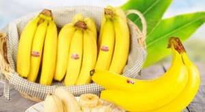 绿色食品种植(夫妻种植香蕉不一般 试管香蕉成为绿色食品)