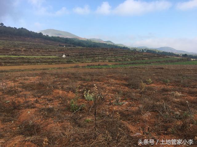 云南农村800亩优质水浇地出租，适合中药材种植
