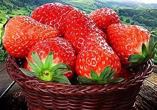 草莓在家里栽种的最全方法，赶快收藏起来吧！