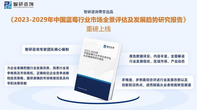 干货分享！2023年中国蓝莓市场发展概况及未来投资前景预测分析