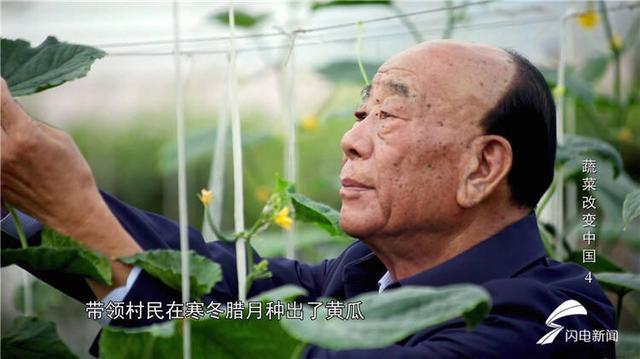 蔬菜改变中国丨因地制宜输出“寿光模式”！寿光小伙在内蒙古建起蔬菜大棚