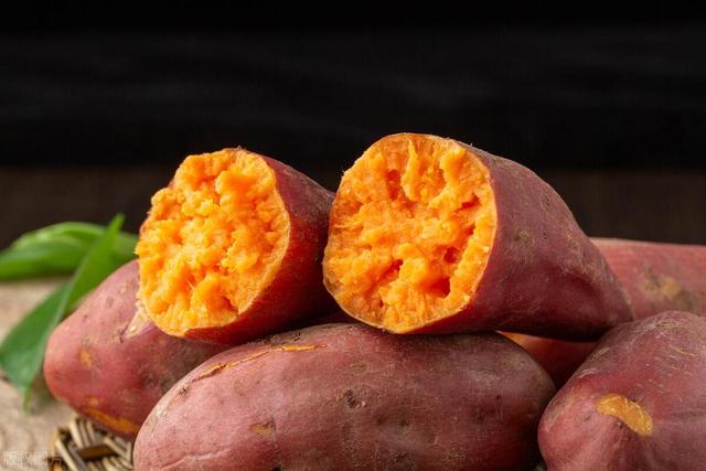 穿越、核战末世必备技能。红薯的种植与储藏方法。