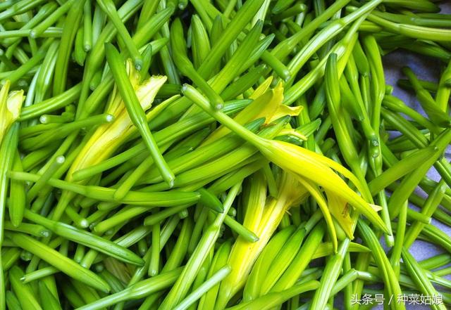 黄花菜种植简单，种一次连续采收十几年，不妨一试