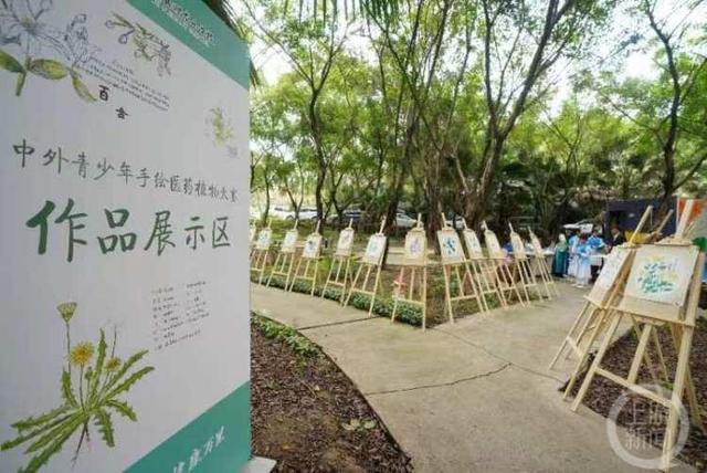 重庆这所学校藏着一个“药王谷” 种有80多种中草药