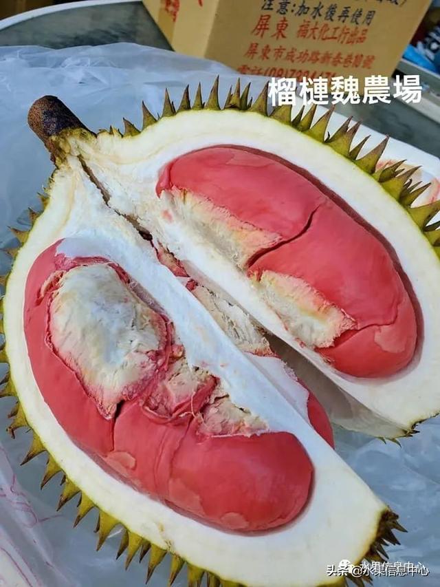 榴莲不再是热带气候独有的，与深圳同一纬度的屏东成功种出猫山王