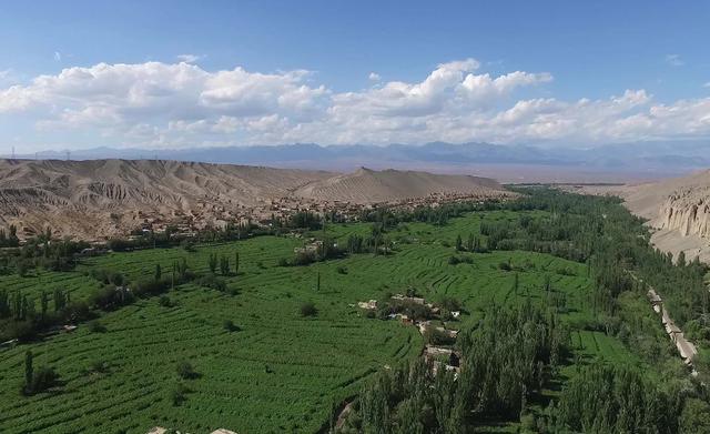 东北大米、新疆葡萄和阿拉斯加海参等农产品，为什么都品质极佳？