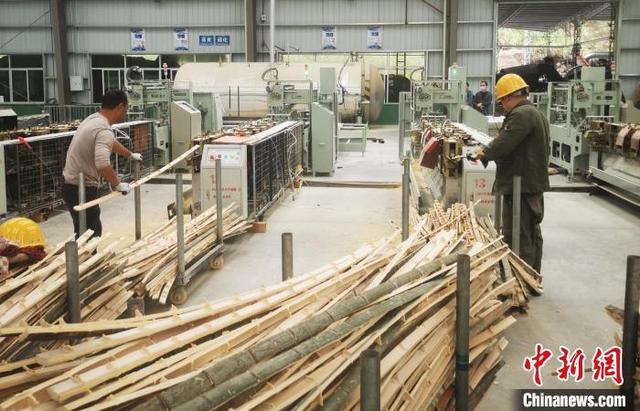 广东：小竹子育成大产业 产值剑指超千亿元