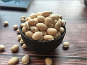 白扁豆的种植(地方特色农产品白扁豆高效栽培关键技术)
