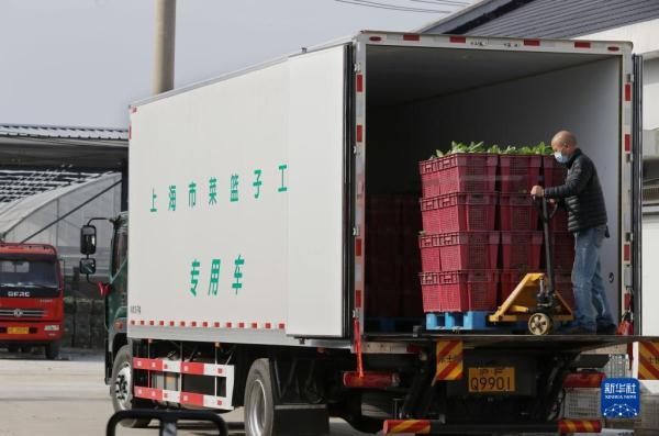 上海：“奔跑”的蔬菜
