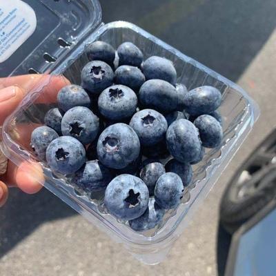 蓝莓栽培管理技术规程