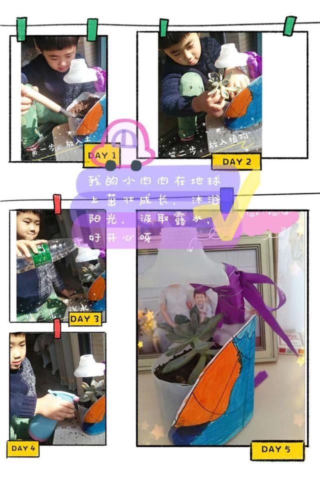 邂逅春天里——徐州市第二实验幼儿园大班组植物种植观察日记分享