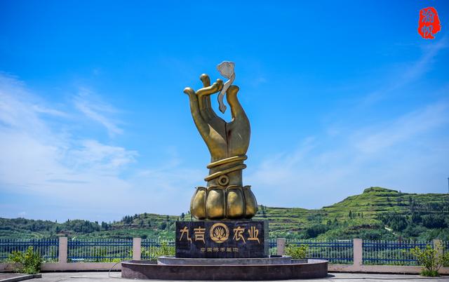 重庆潼南又一个特产即将全国闻名，被誉为果中之仙品，世上之奇卉