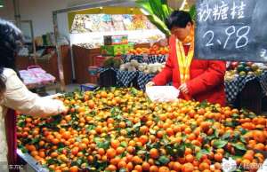 广西种植沙糖桔(广西种植砂糖橘250万亩，占柑橘总量三分之一，疯狂扩种图的啥？)