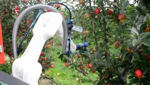 苹果种植机械(可自动化采收分拣苹果，松江企业研发的这款机器人有望上市)