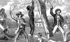 黑奴种植园(烈日下的阴影：美国南部棉花种植园黑奴的真实写照)