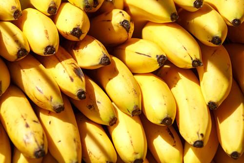 香蕉种植的成本与利润分析 前景如何?如何规避投资风险?