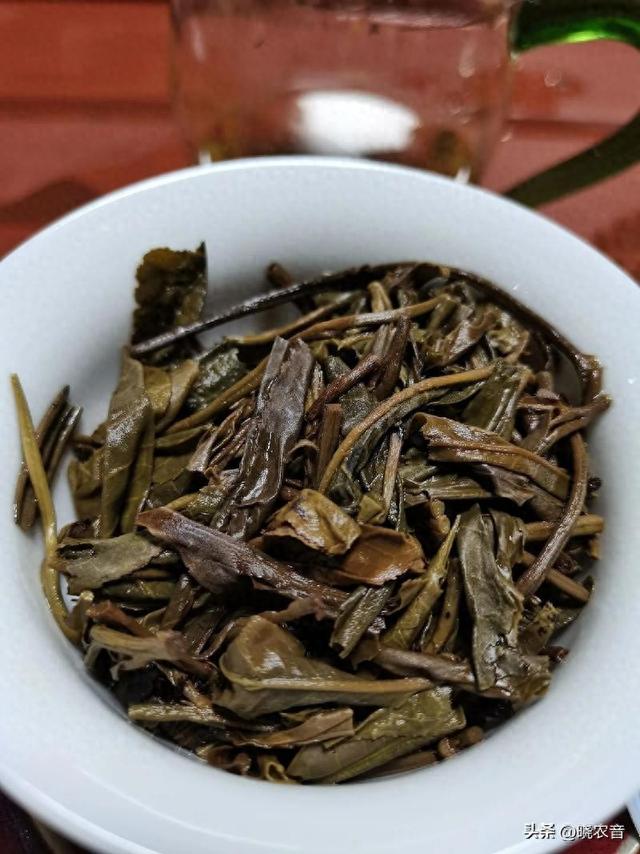 普洱茶是如何种植的，对环境条件有什么要求？
