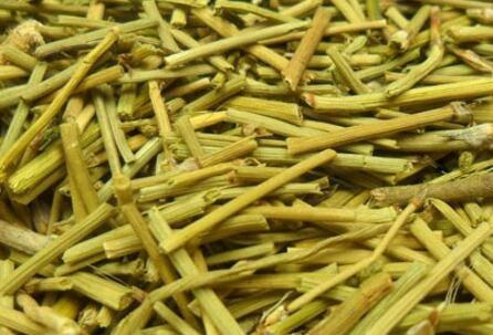 麻黄草一斤能出多少碱？种植麻黄草要审批吗？需要哪些手续？