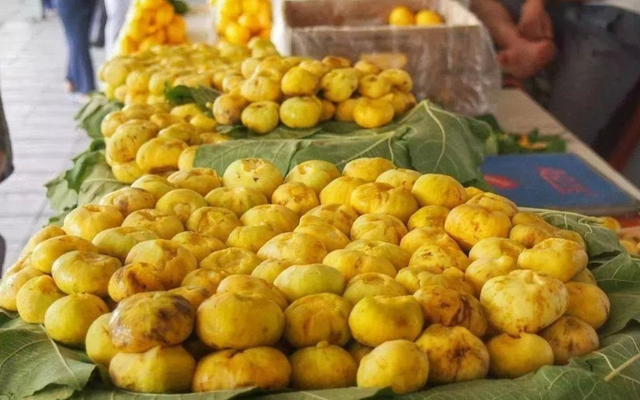 非常“尴尬”的新疆无花果，被称为“水果皇后”，却很少人吃过