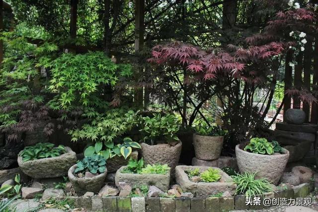冬季调色盘——适合12种组盆的植物