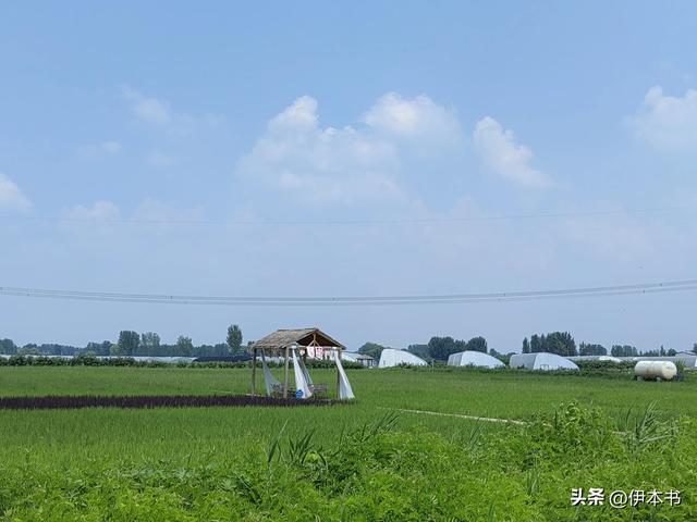 走进郑州普罗稻草人农场采摘有机蔬菜纪实