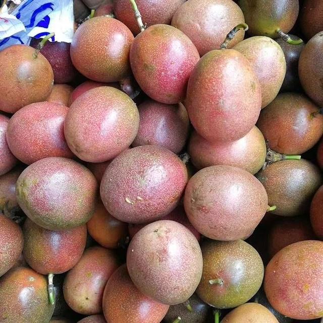 在广东适合地方小种植的水果之一 百香果