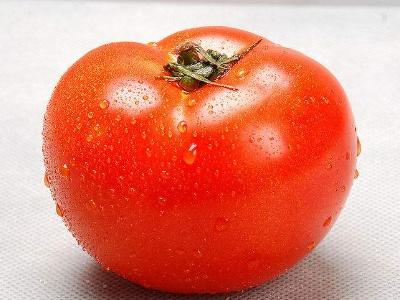 家种西红柿的栽培方法