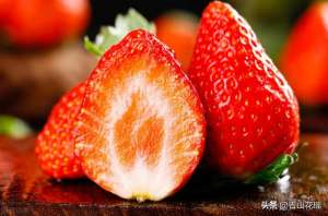 草莓立体种植示意图(河北唐山常见草莓立体栽培技术及展望)