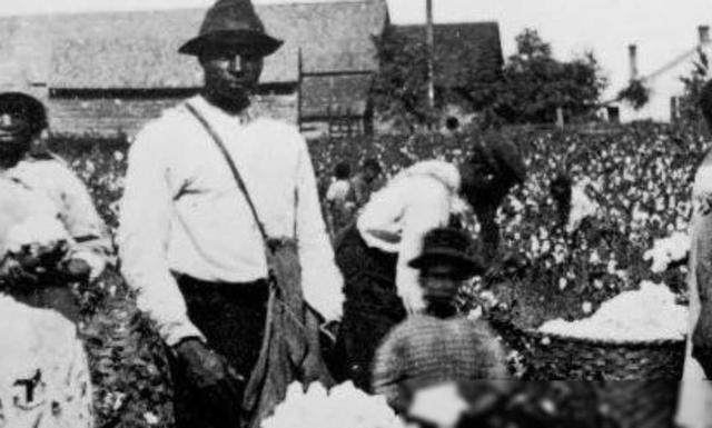 烈日下的阴影：美国南部棉花种植园黑奴的真实写照