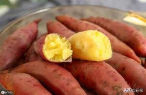 番薯叶种植(红薯种盆栽，观赏食用两不误，红薯叶一冬天都吃不完)