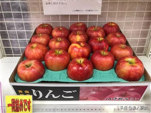 日本的苹果树几种种植方式，涨涨姿势吧