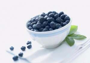 蓝莓的种植与管理技术(值得收藏的高产蓝莓种植管理技术)