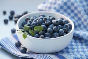蓝莓种植视频技术(现代化农业系列55：蓝莓在秘鲁的种植、收获和加工技术)