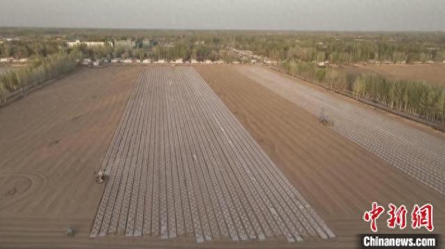 新疆巴州逾300万亩棉花机械化种植助力棉农节本增效