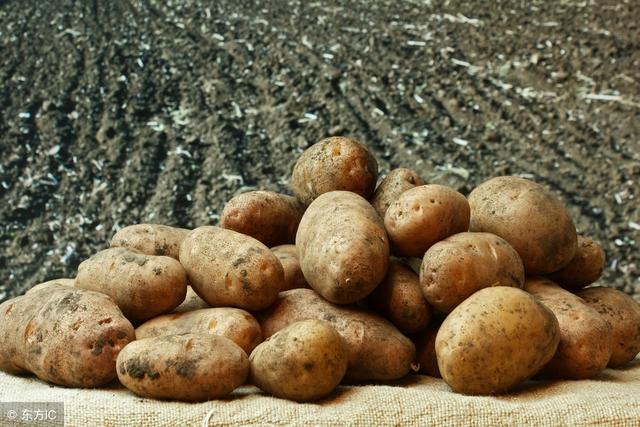 一块地连续几年种植马铃薯，产量会降低，这是为何？