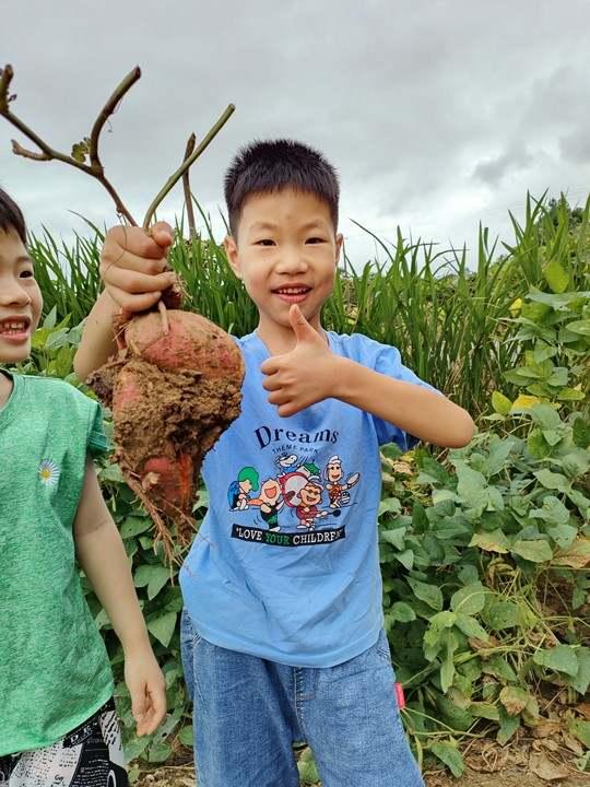一米一谷，不负“食”光！杭州小学生体悟种植艰辛