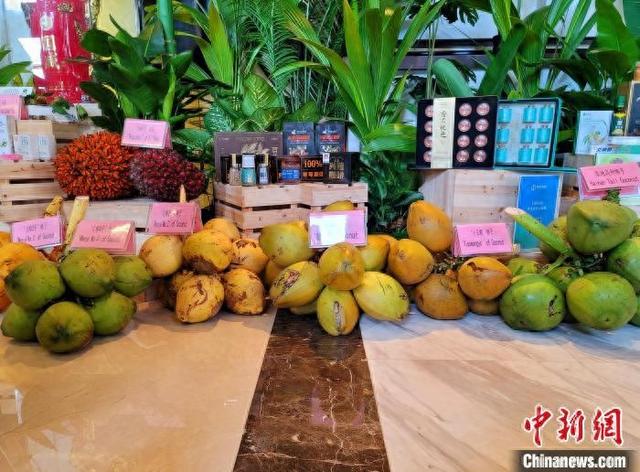 黄椰、金椰、香水椰……中国专家培育出“文椰”系列新品种
