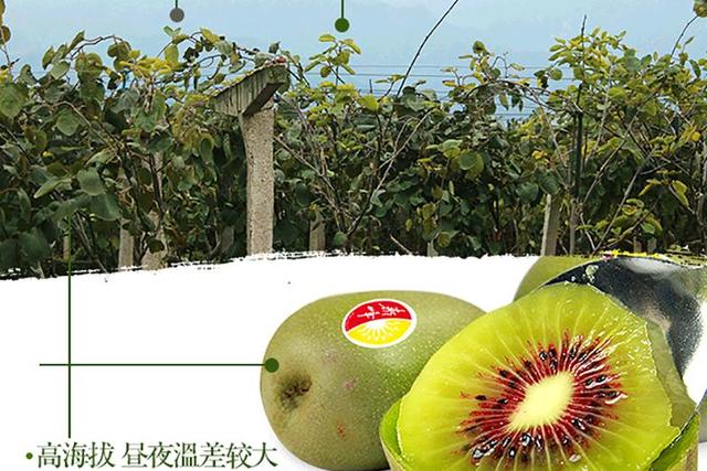 桂林市红阳猕猴桃水肥一体化栽培技术