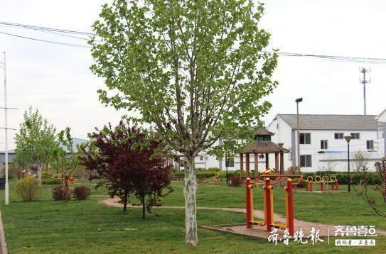 党建引领，内在提质，乐陵市杨安镇崔刘社区打造生态宜居新农村