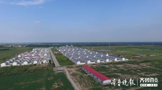 党建引领，内在提质，乐陵市杨安镇崔刘社区打造生态宜居新农村