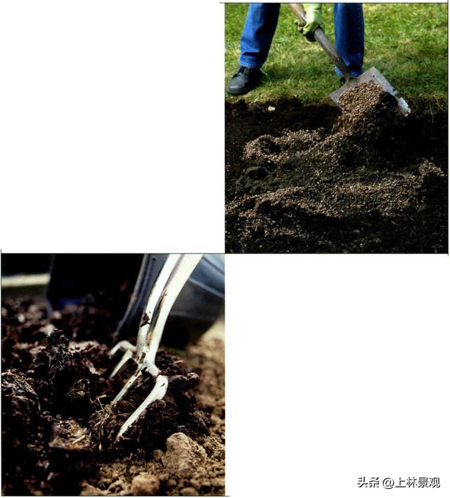 了解你有什么样的土壤有利于你判断哪些植物能在你的花园生长繁茂