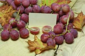 红葡萄的种植方法(中国红玫瑰葡萄品种及种植技术介绍，想了解的点进来)