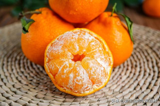 四川最适合种植的柑橘品种