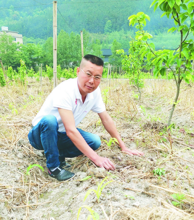 “新菇农”为800多“岁”庆元香菇注入新活力