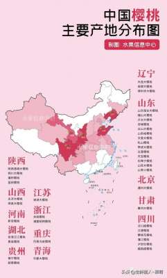 樱桃种植区域(中国樱桃主要产地分布及品种介绍（2022版）)