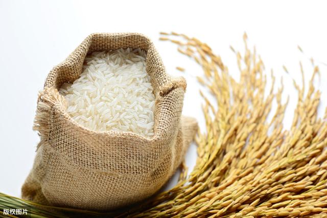 南方水稻的种植技术，有你不知道的，快来了解一下